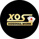 xoso666work avatar